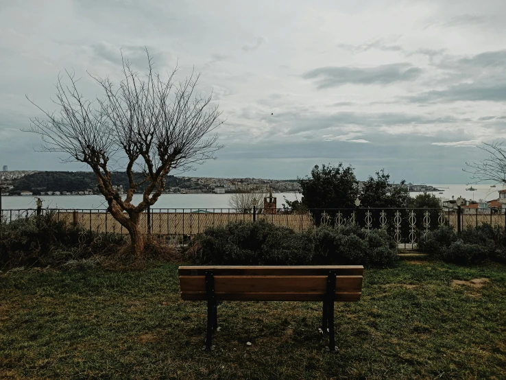 a single bench is sitting outside by some water