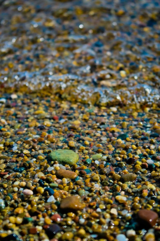 a small object sitting among the small stones