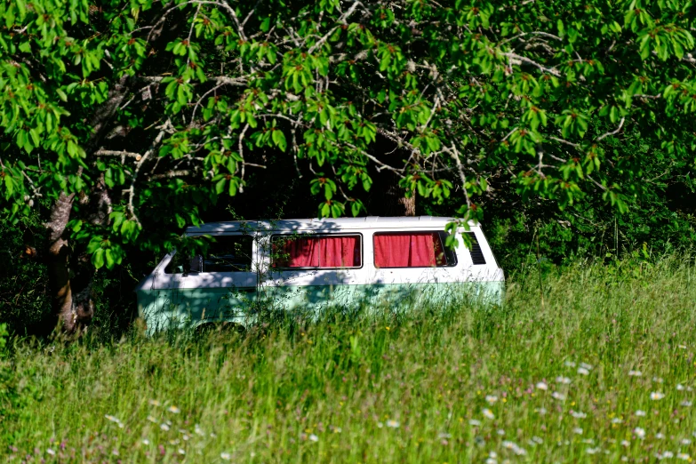 a van is sitting in a field in the grass