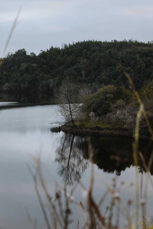 a bird is perched on a rock near a body of water