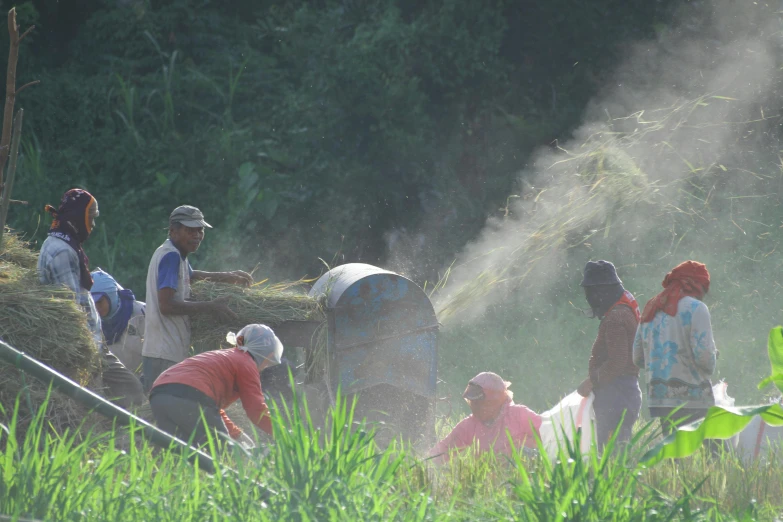 some people in the grass near a pile of hay