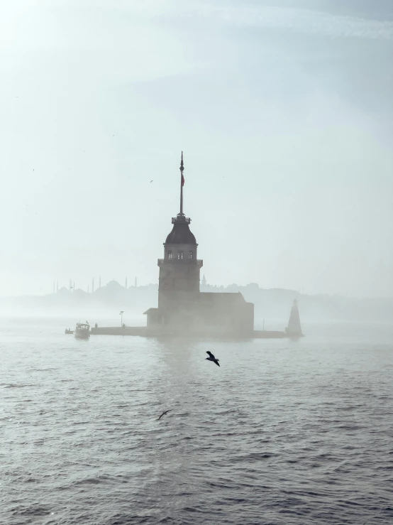 a bird flies through the fog on a body of water