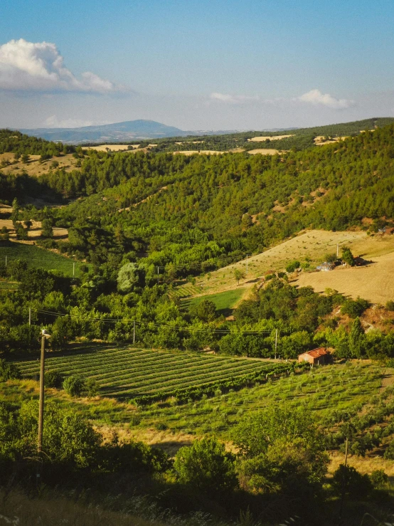 a view of the rolling hills, valleys and valleys