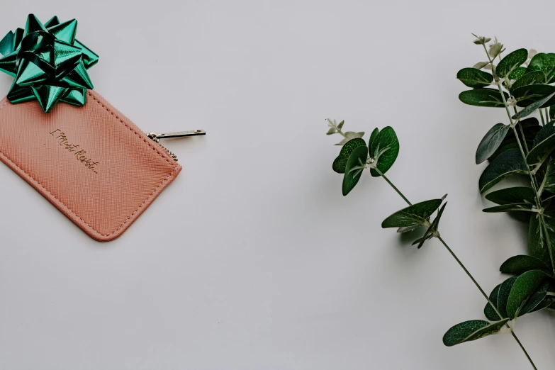 there are a few plant and a small bag on the table