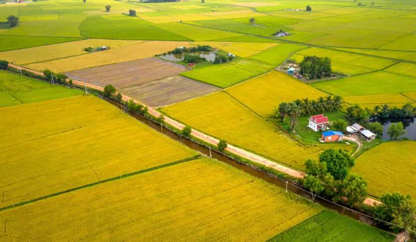 a train traveling past a lush green countryside