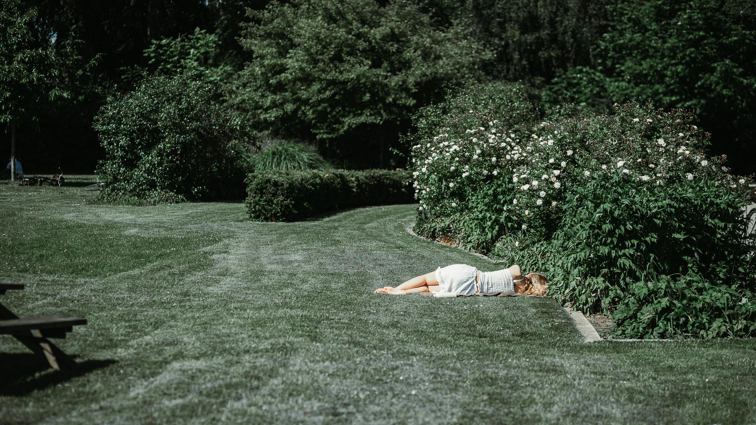 a woman laying in the grass next to bushes