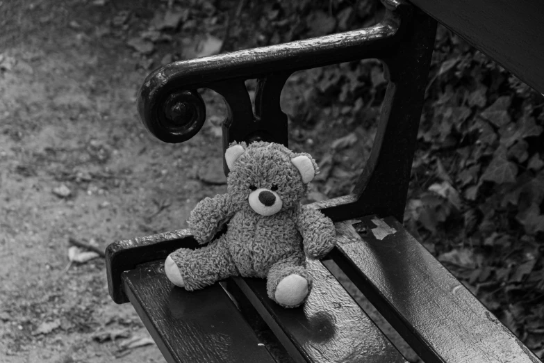 teddy bear on bench looking around with back to the camera