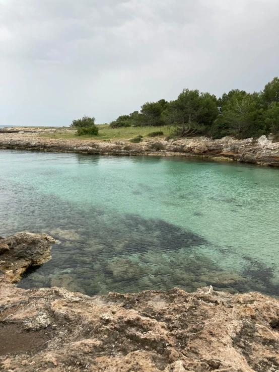 a large body of water sitting next to a lush green forest