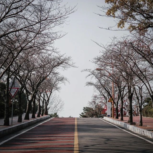 an empty road in the middle of some trees with a bus stop sign