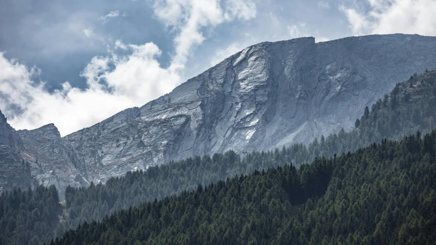 trees are lined up against the tall mountains