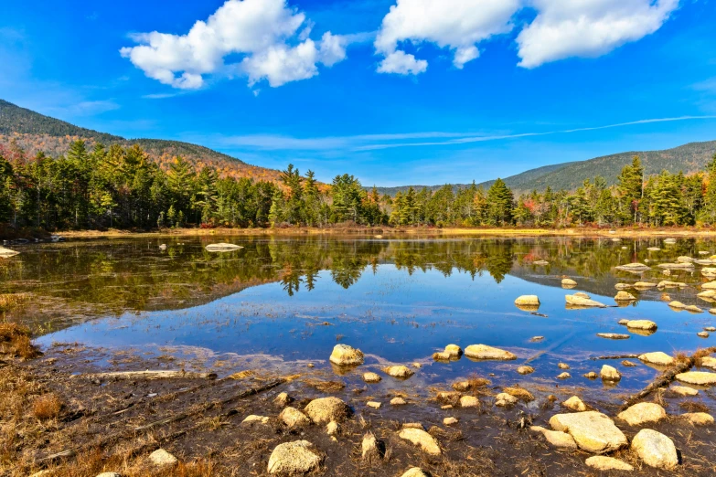 a beautiful blue sky reflects in the clear waters of a pond