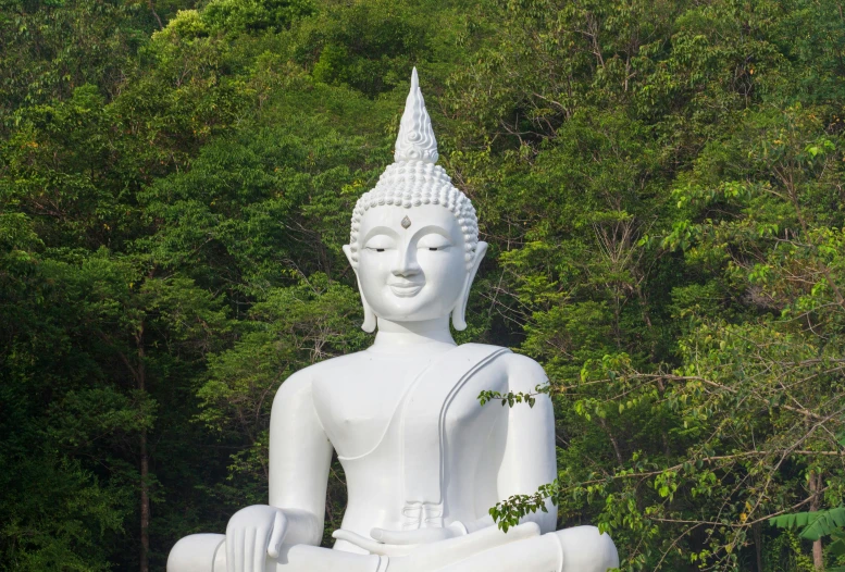 a large statue of buddha with no head