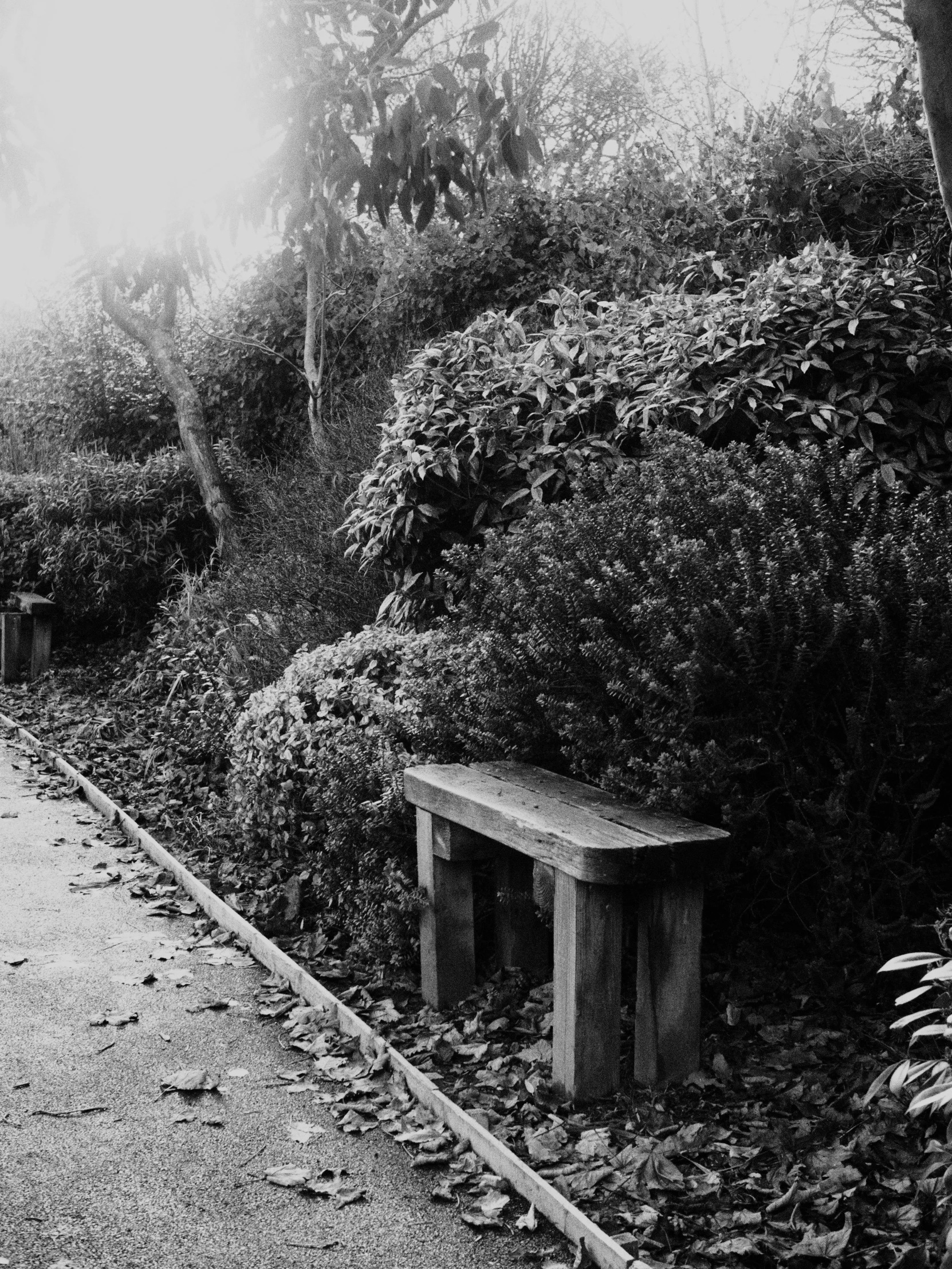 an old bench sitting in the middle of a garden