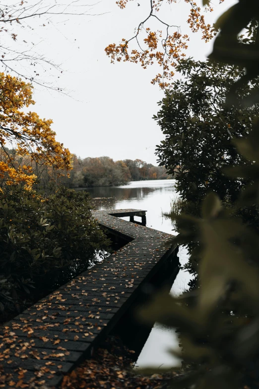 a long wooden pathway that goes across water in the fall