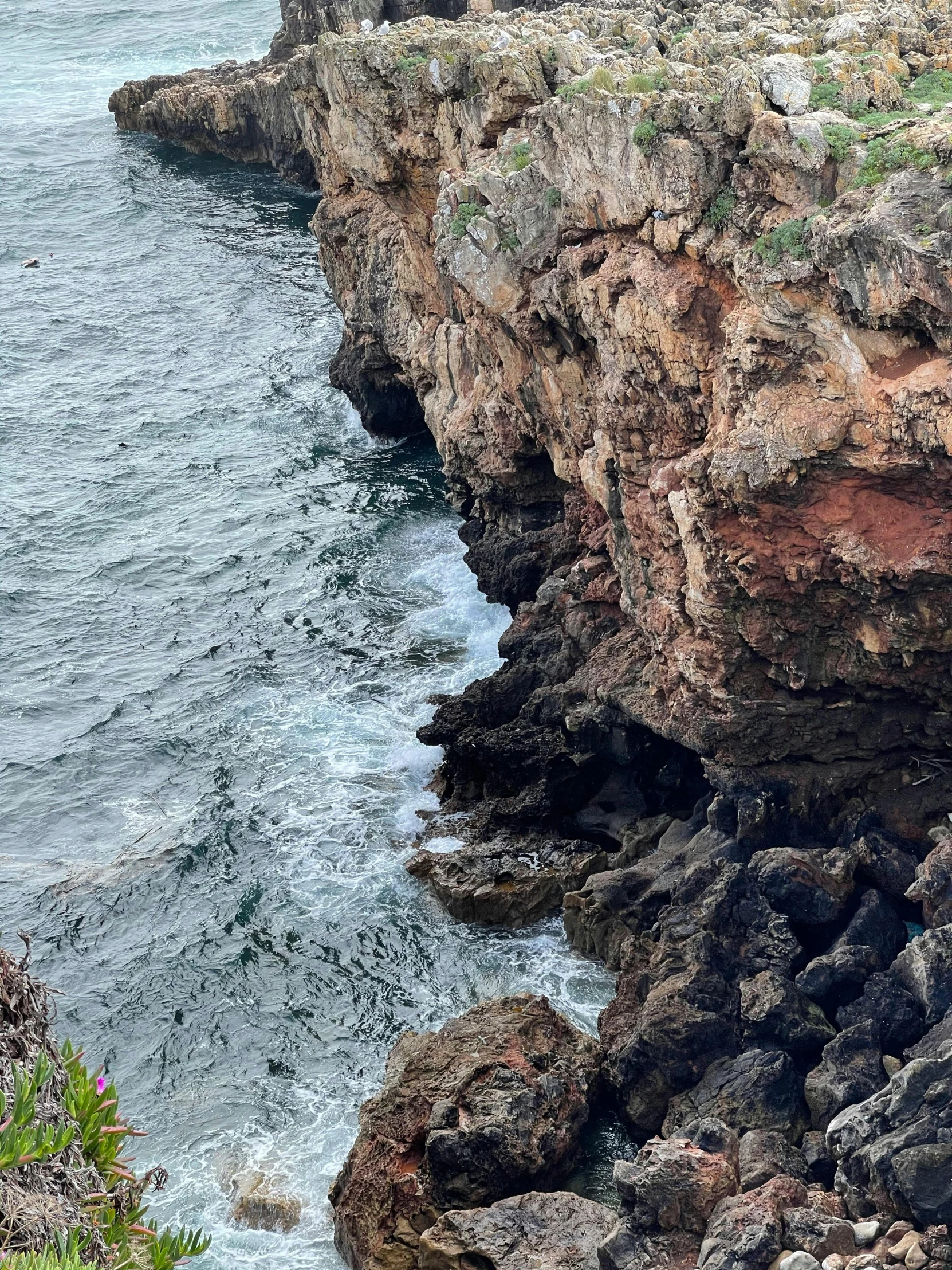 the coast line is rocky and has vegetation on the rocks