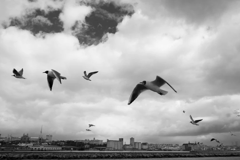 the birds are flying by in the clouds