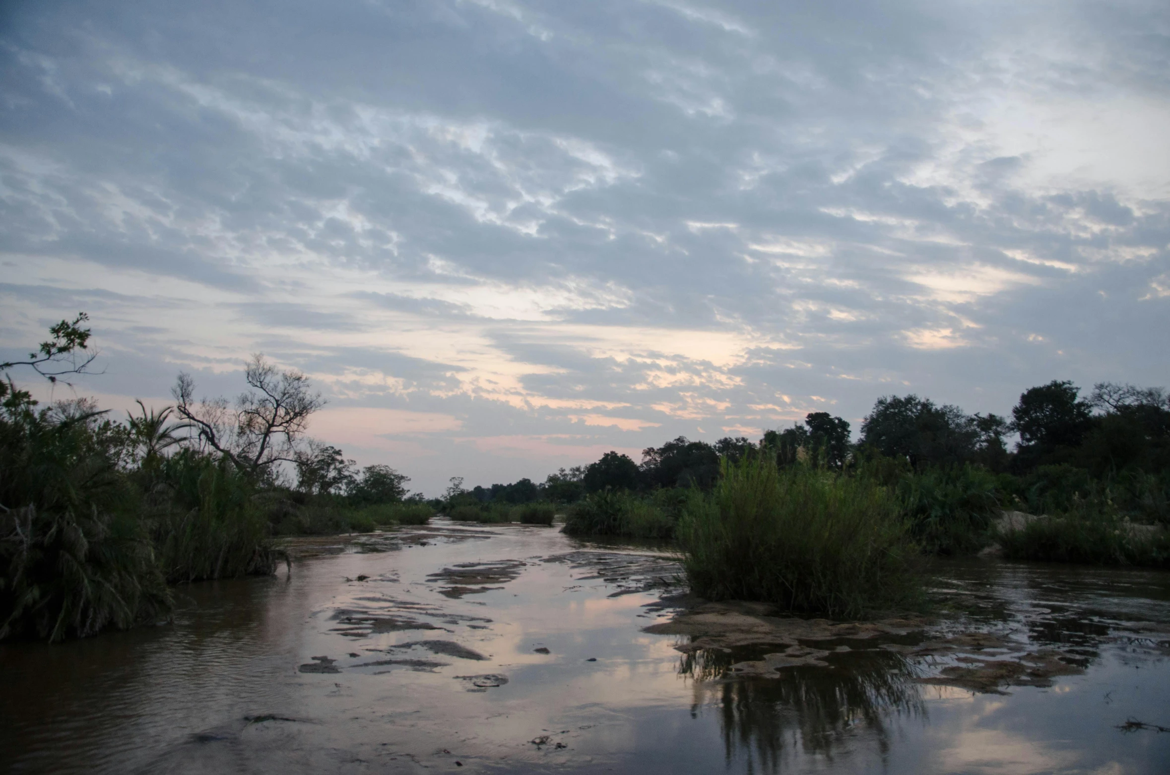 small river surrounded by brush and vegetation under cloudy skies