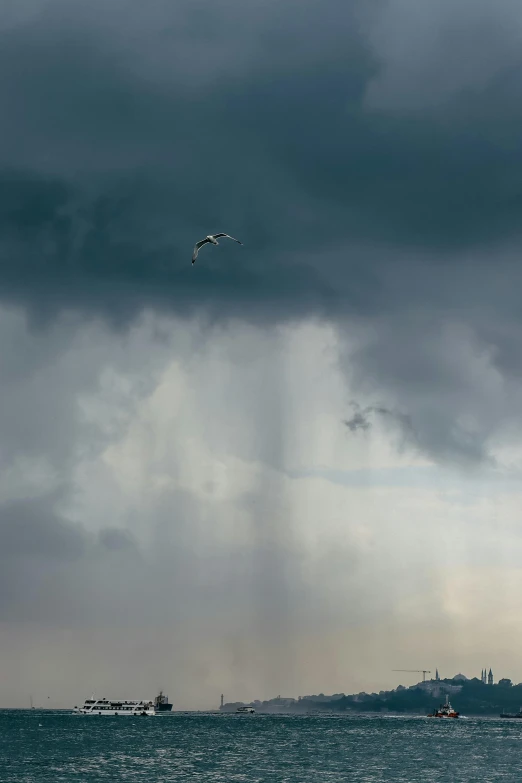 two birds flying over the ocean during a dark sky day