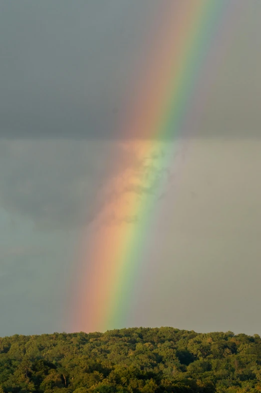 a double rainbow shines over trees on a cloudy day