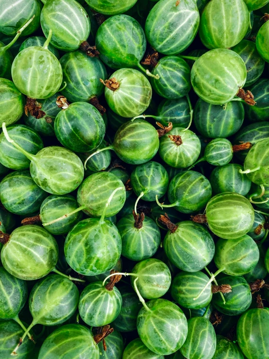 many green vegetables are grouped together on display