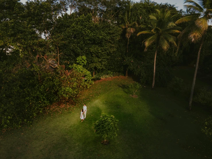 a person walking on a grassy path through some trees