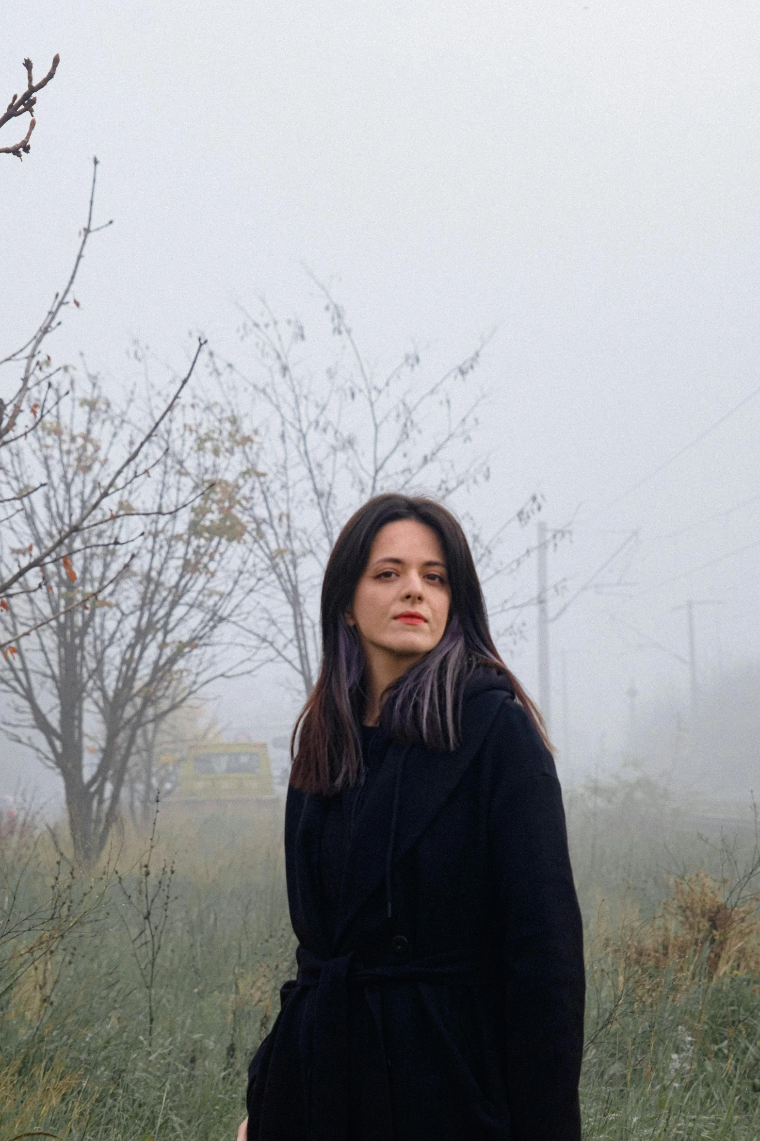 a woman in a foggy park, her hair out