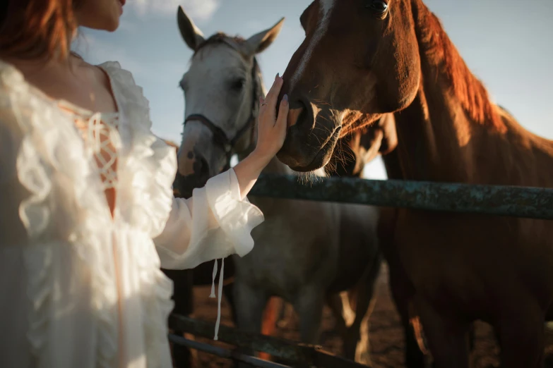 a woman stands by a fence petting a horse