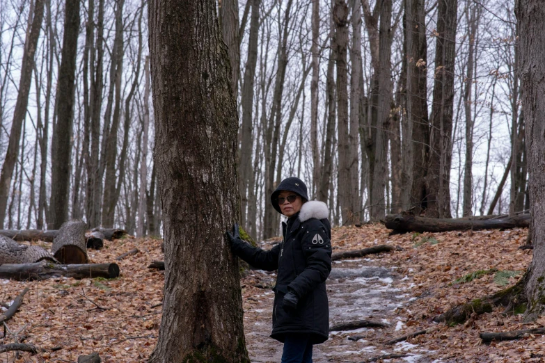 a boy wearing a coat and hat standing in a forest next to a tree