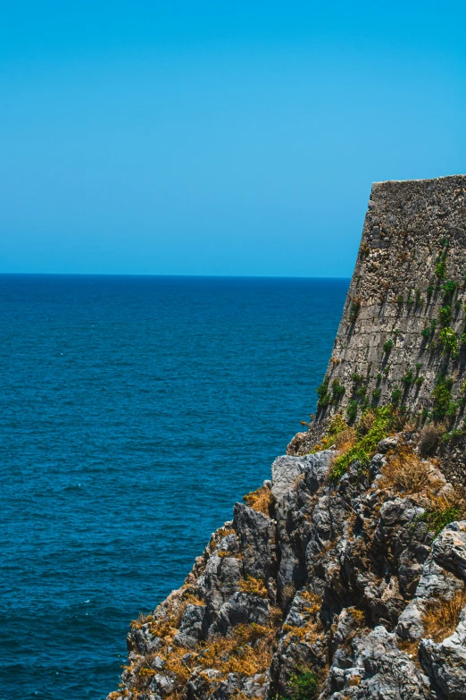 a lone sea lion sitting on a cliff near the ocean