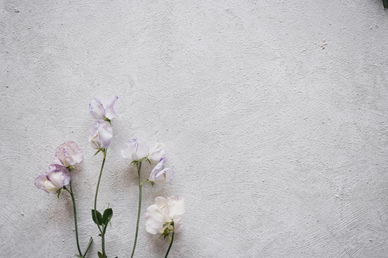 flowers sitting on the concrete by some type of plant