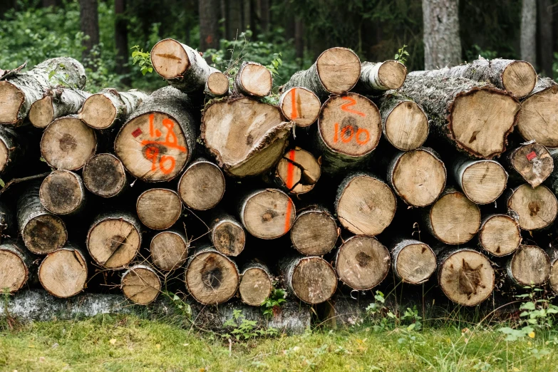 a pile of logs sitting on top of grass covered ground