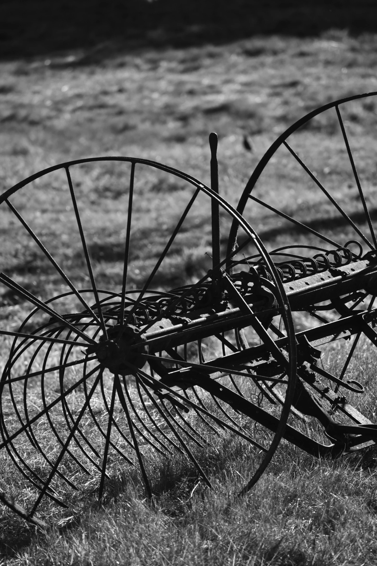 old abandoned farm implements lie in the grass