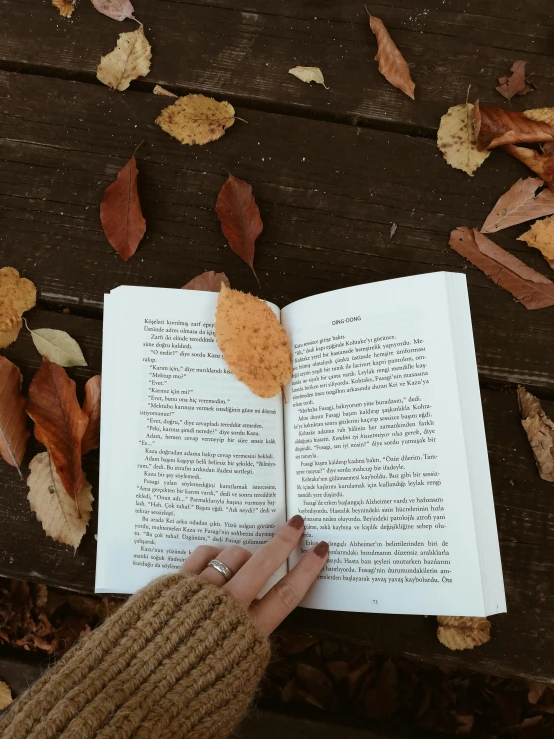 someone holding a book and a pile of autumn leaves