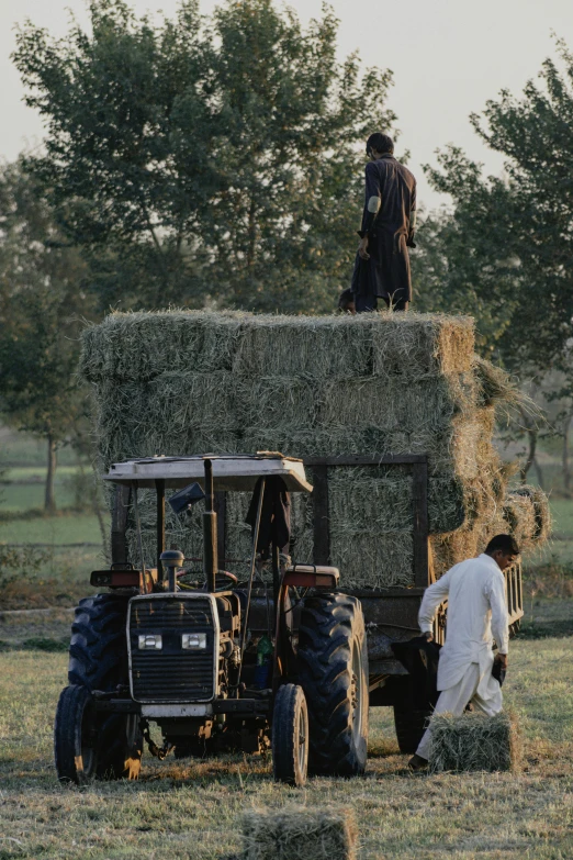 two men on a farm in a field working