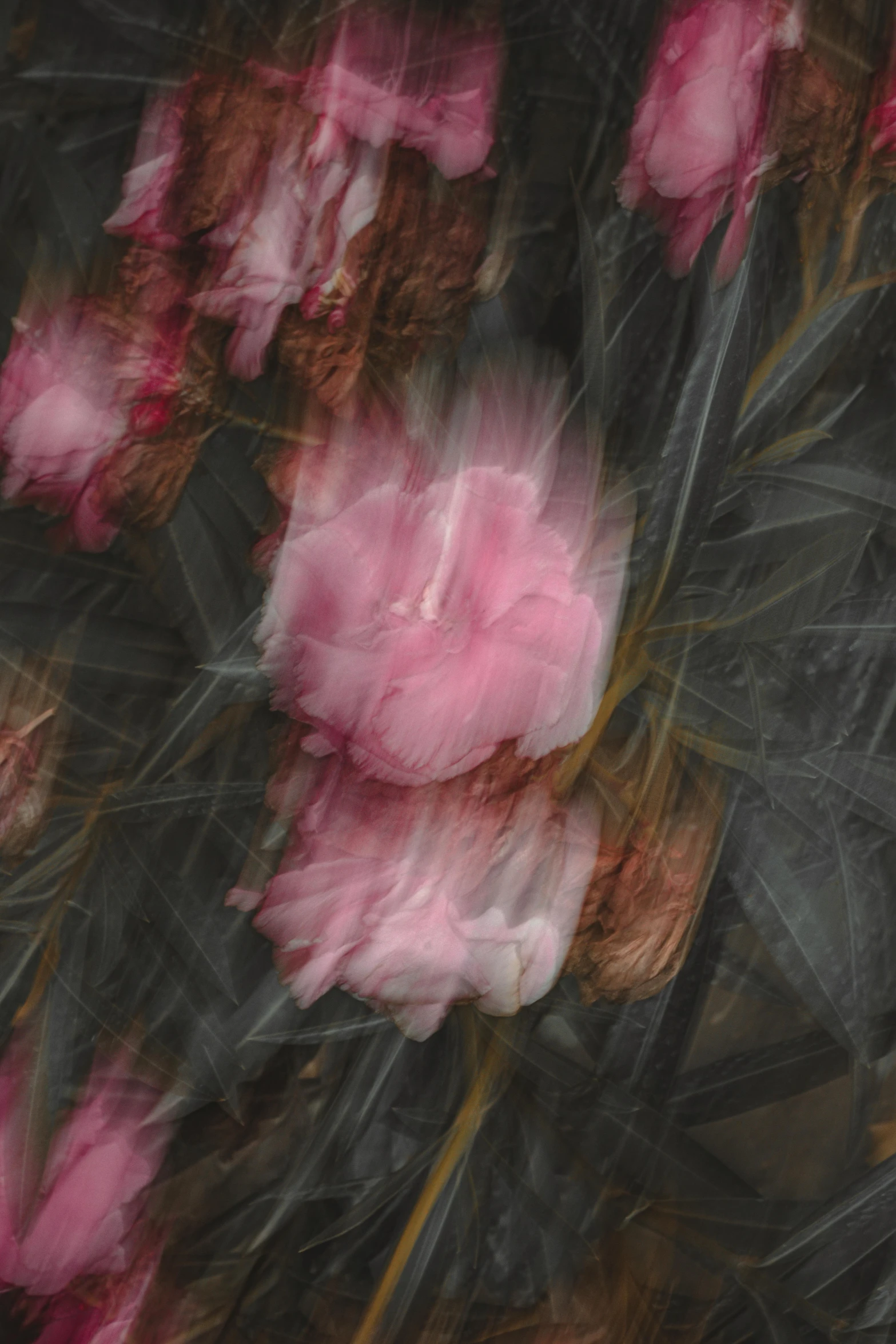 a painting of pink flowers in motion with green leaves