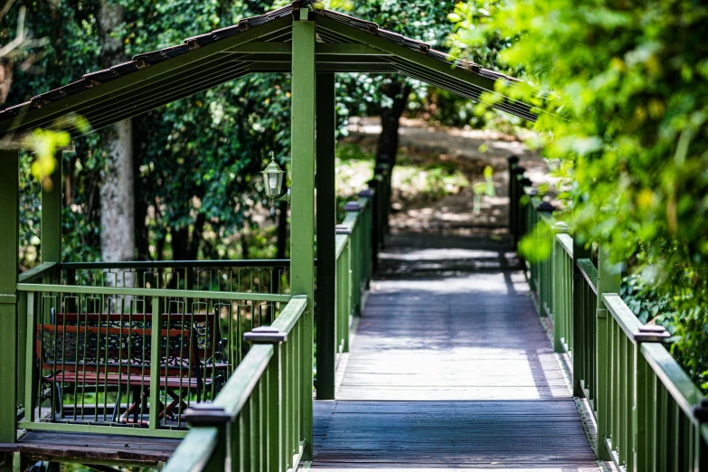 wooden bridge in the park with green railings