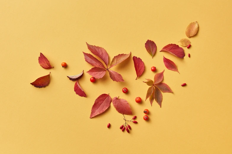 the leaves are falling on the yellow surface