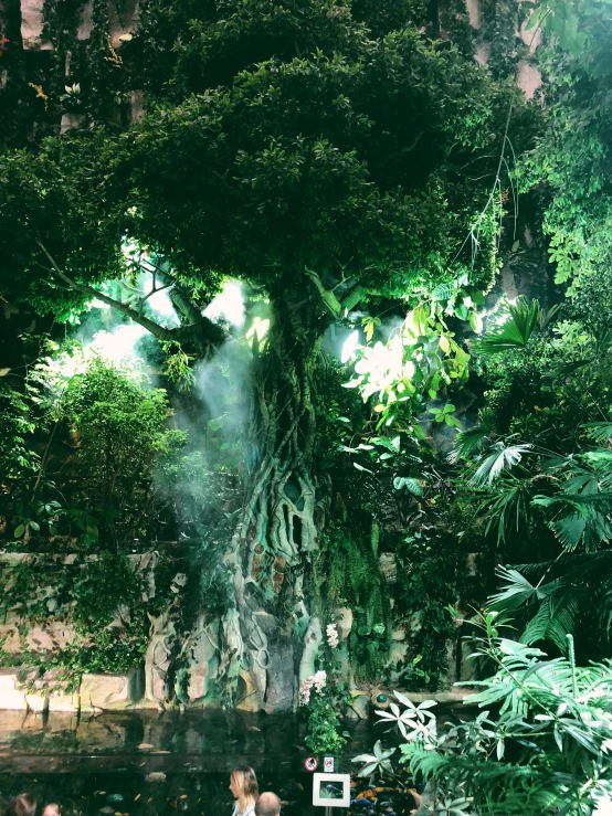 an image of a woman in the woods in a park