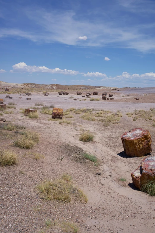 many large rock formations in the middle of the desert