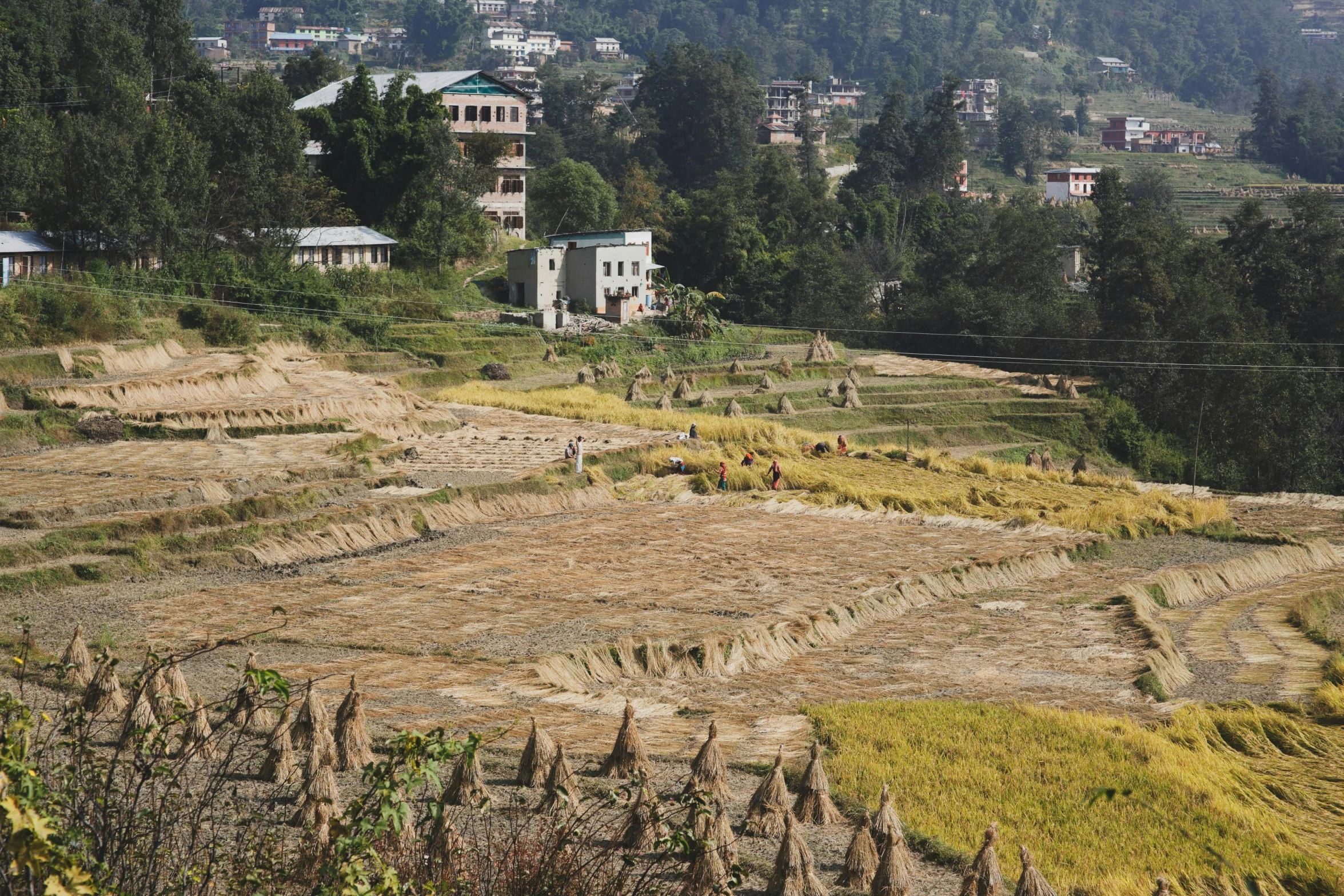 an empty grass hill in the middle of a city