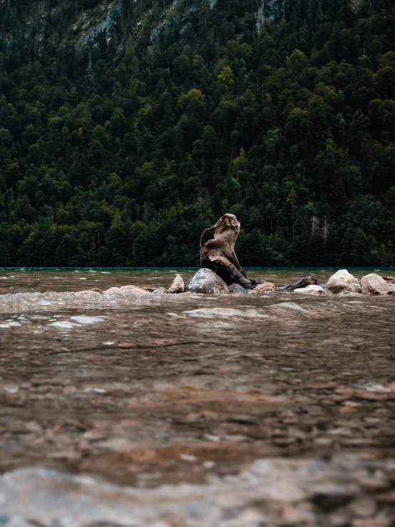 the person on the large rock is holding soing with his hands