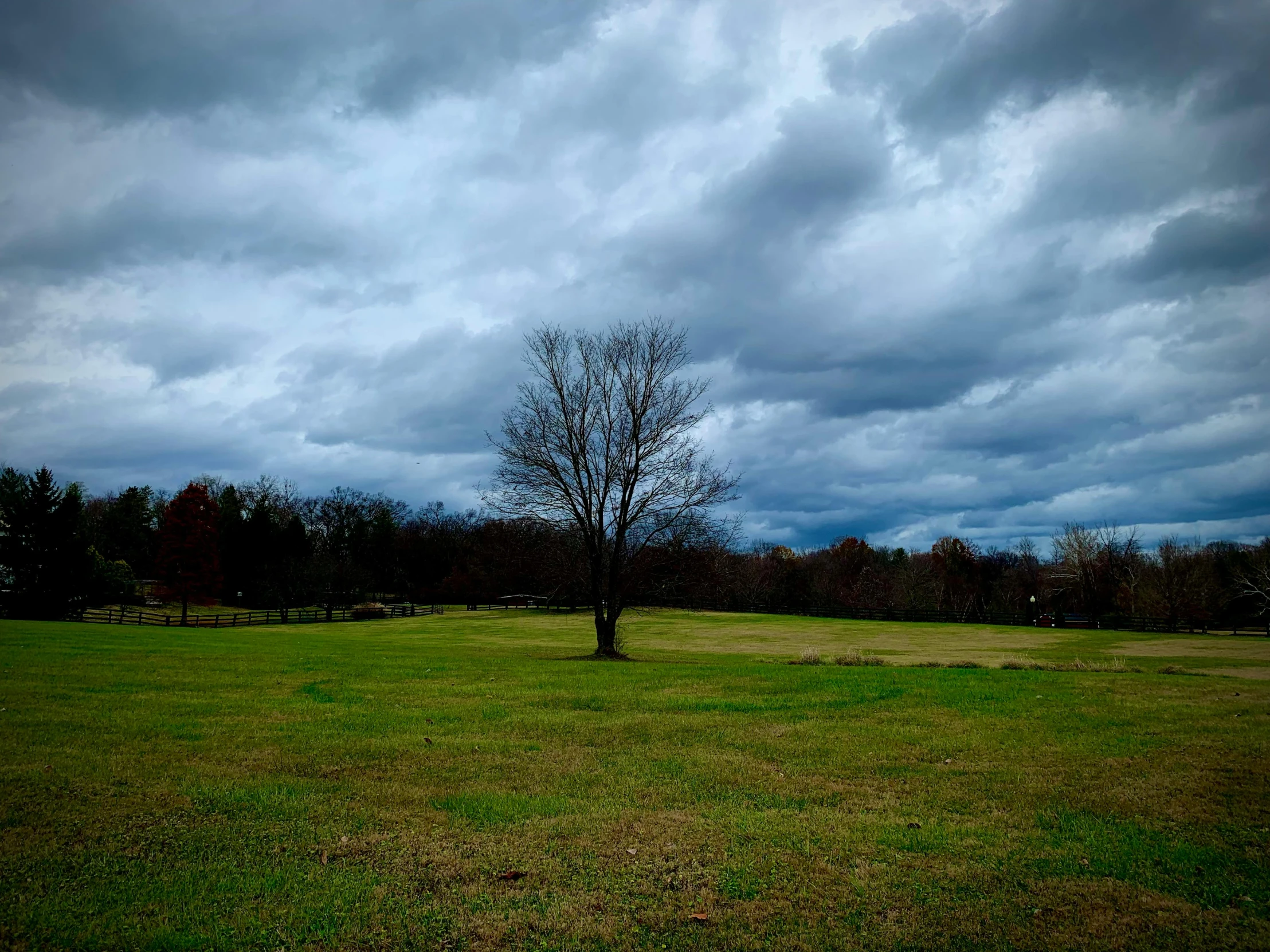 this is a large field with a tree in the middle