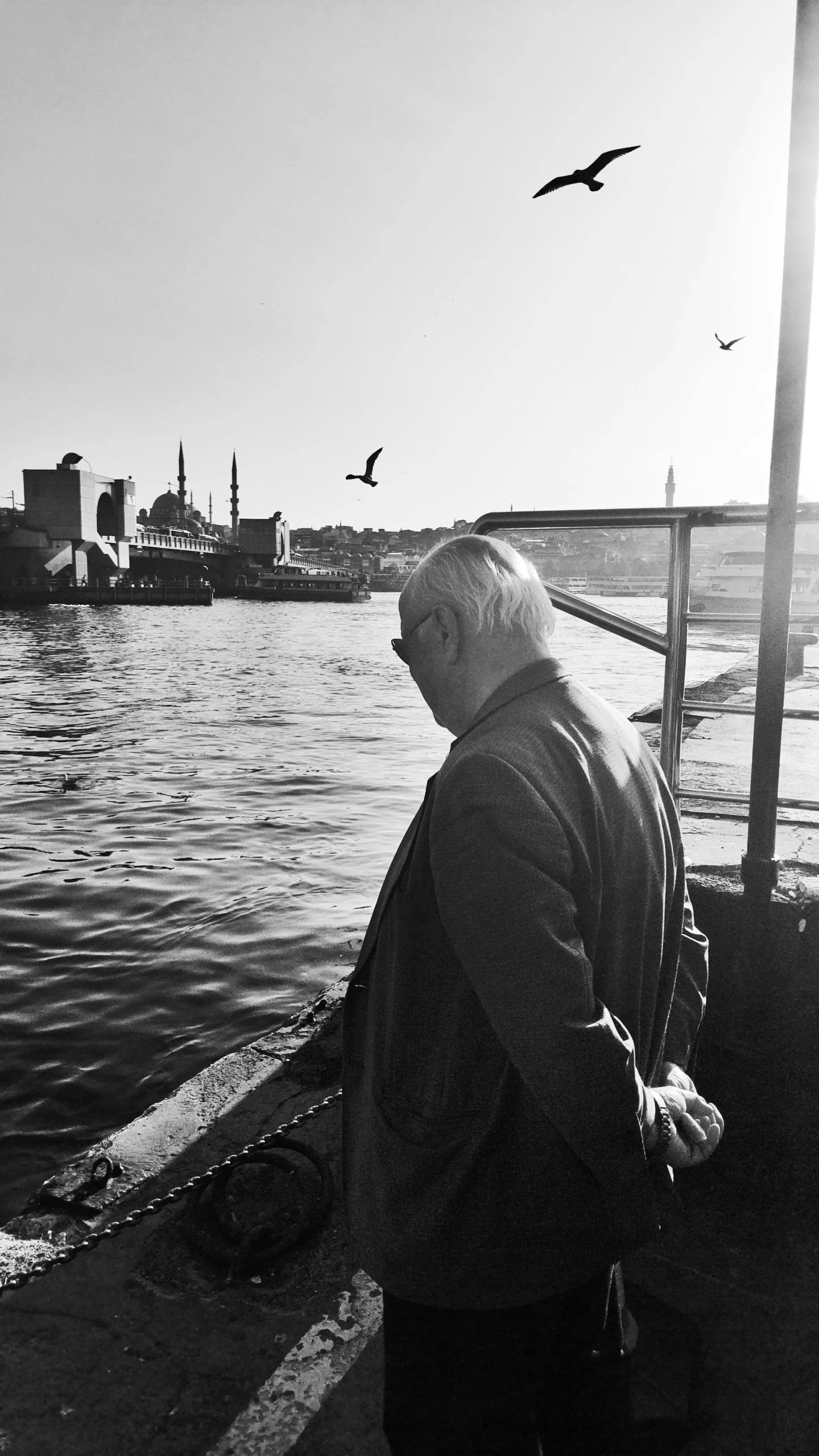 a person standing on the edge of a pier looking at seagulls