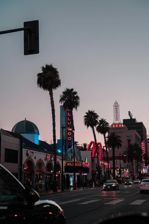 palm trees, traffic lights, a city street and buildings