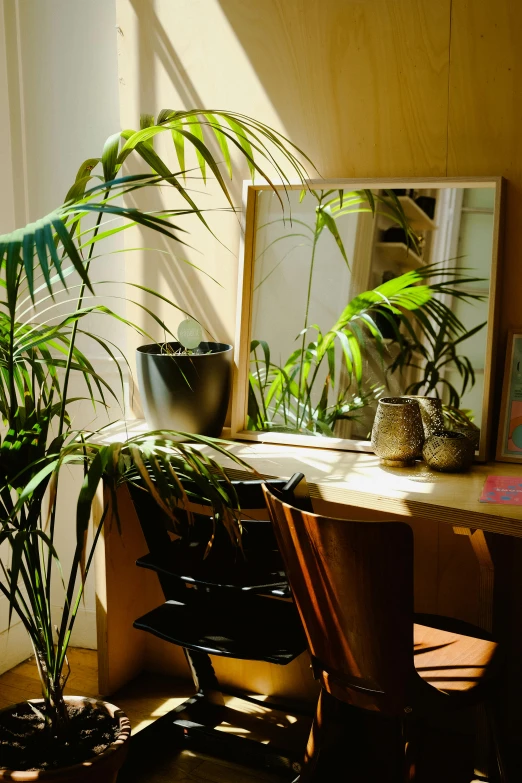 a plant sitting in front of a window