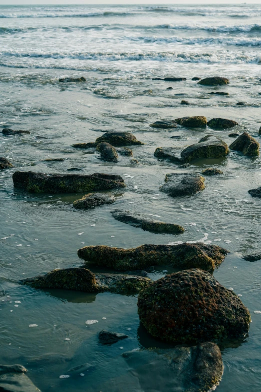 many rocks are in the ocean on the beach