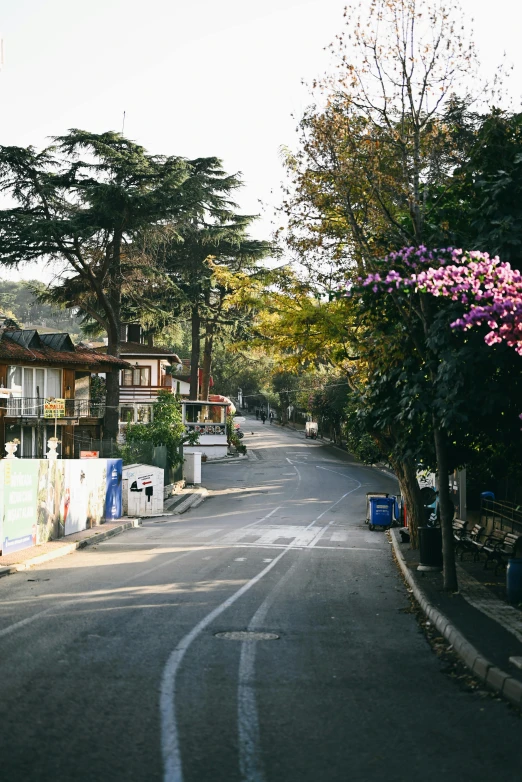 street with no cars parked in front of houses