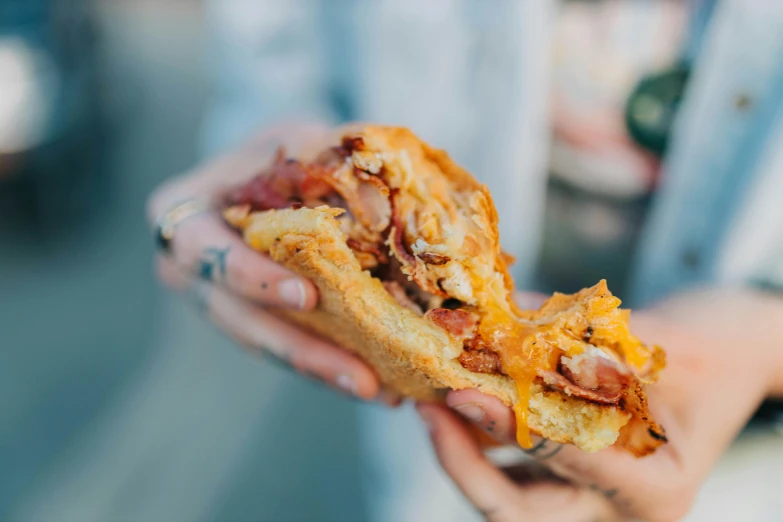 someone is holding up a sandwich that looks delicious