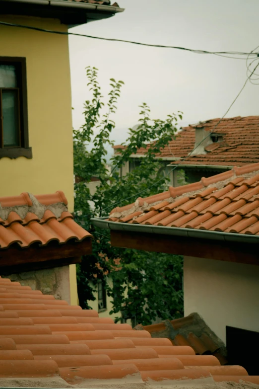 roof tiles on a house with buildings in the background