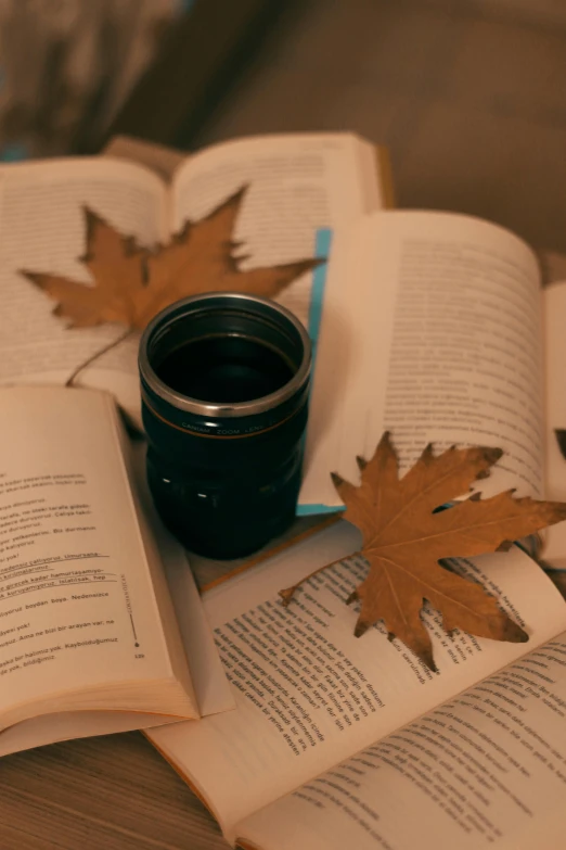 a book sitting on top of a table next to two leaves and a cup